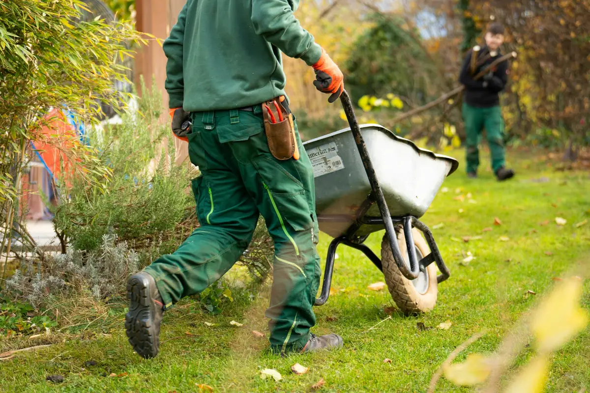 Jardinier poussant une brouette sur une pelouse